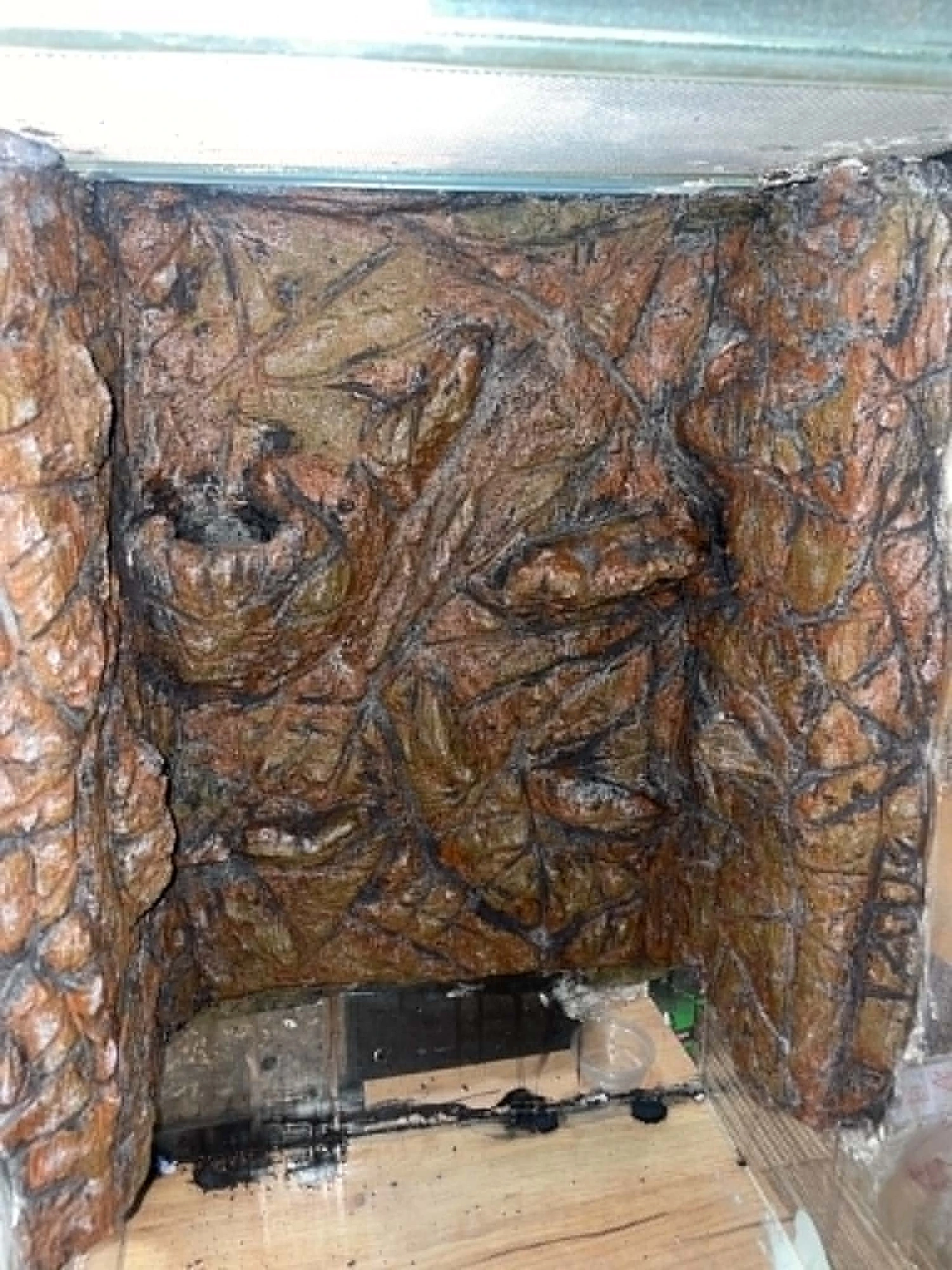 Exo Terra 45x45x60 cm – Håndlavet Betonbaggrund